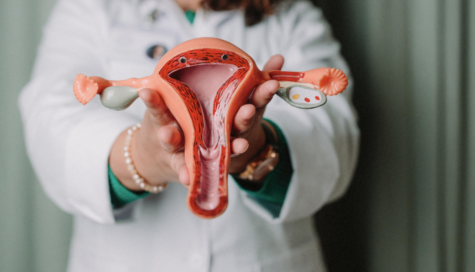 liquen escleroso vulvar síntomas